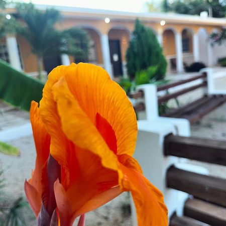 Villa Gabriela Celestun -Hotel & Restaurant Экстерьер фото