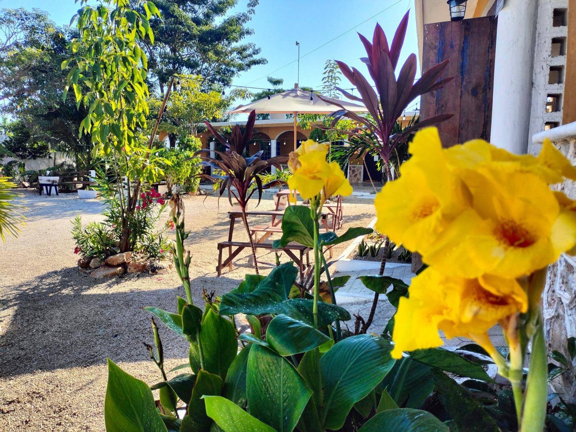 Villa Gabriela Celestun -Hotel & Restaurant Экстерьер фото